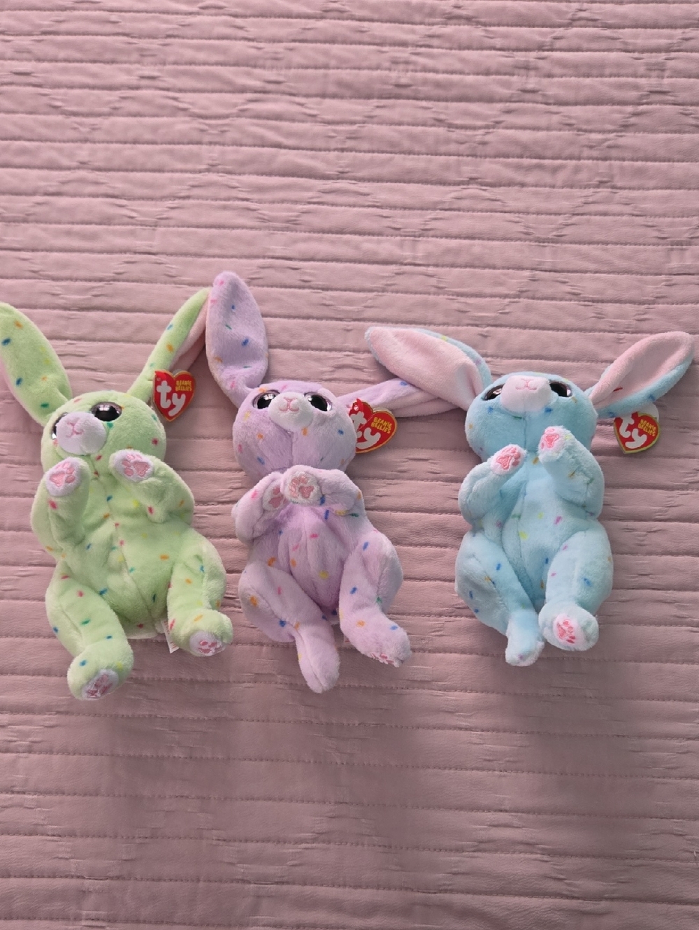 The Beanie Bellies Collection Bundle